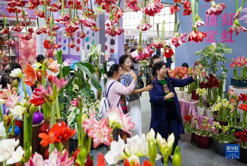 百乐宝用户登录